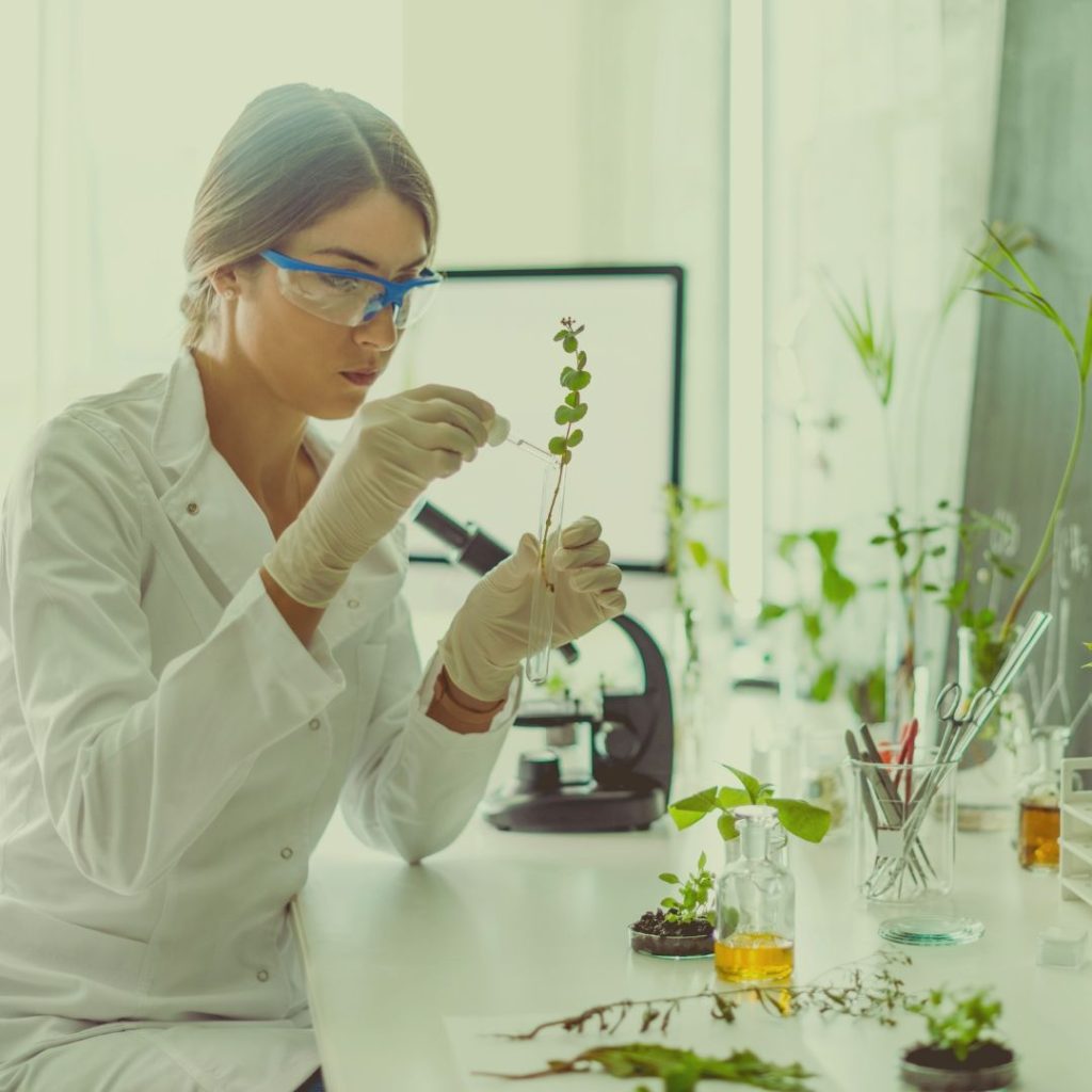 Support for start up programs